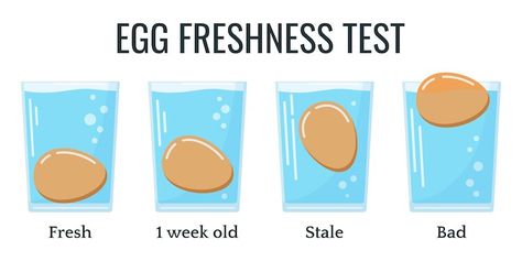 Egg Float Test: Fact Or Fiction? | Chickens And More Egg Test For Freshness, Egg Float Test, Egg Test, Floating Eggs, Storing Eggs, Mississippi Chicken, Cured Egg, Collecting Eggs, Best Pickles