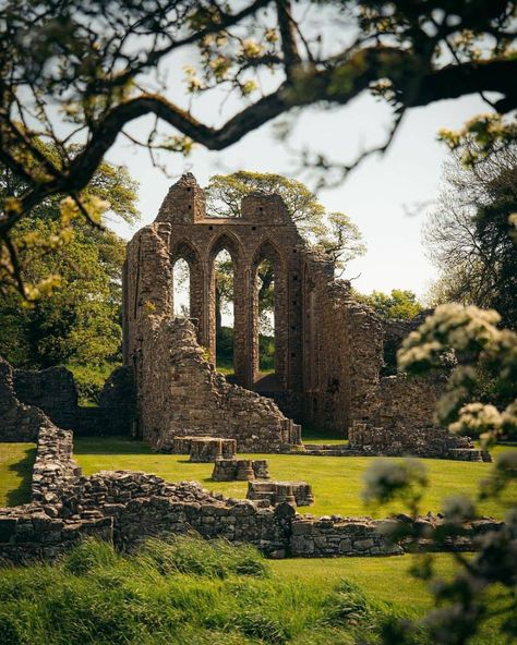 Ireland Aesthetic, Best Of Ireland, Ancient Ireland, Ireland Tours, Beautiful Ruins, Love Ireland, Mystical Places, Abandoned Castles, Old Churches