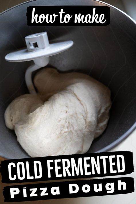 Cold Fermented Pizza Dough, Cold Rise Pizza Dough Recipe, Fermented Pizza Dough, Fermented Pizza Dough Recipe, Pizza Oven Recipes Wood Fired, Overnight Pizza Dough, Sourdough Pizza Dough Recipe, Freeze Pizza Dough, Sourdough Starters