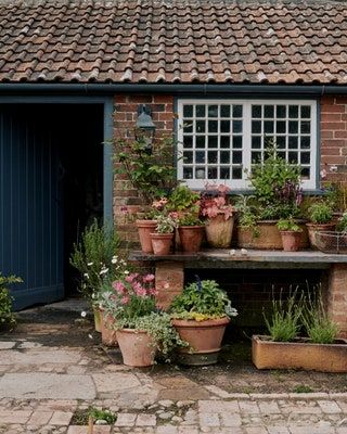 Uk Garden Ideas, Patio Planting, Cottage Garden Decor, Potted Garden, Balkon Design, Garden Inspo, English Country Gardens, Garden Containers, Topiaries