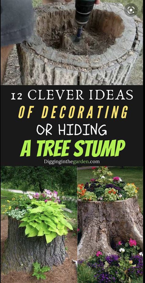 Decorate A Tree Stump, Garden Ideas With Tree Stumps, Tree Logs Ideas Outdoor, Tree Stump Decor, Tree Stump Planter, Landscaping Around Trees, Backyard Seating Area, Tree Planters, Backyard Plan