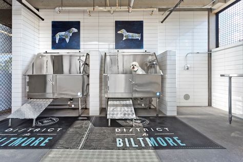 Dog Wash Room, Dog Grooming Salon Decor, New Luxury Apartment, Pet Store Design, Dog Boarding Facility, Pet Store Ideas, Dog Boarding Kennels, Pet Washing Station, Apartment Pet