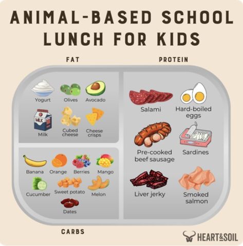 Animal based school lunch for kids Kids Lunch Box Meals, Lunch Ideas For Kids, Primal Diet, Protein Yogurt, Animal Based, Packed Lunches, Healthy Supper, Whole Food Diet, Diet Snacks