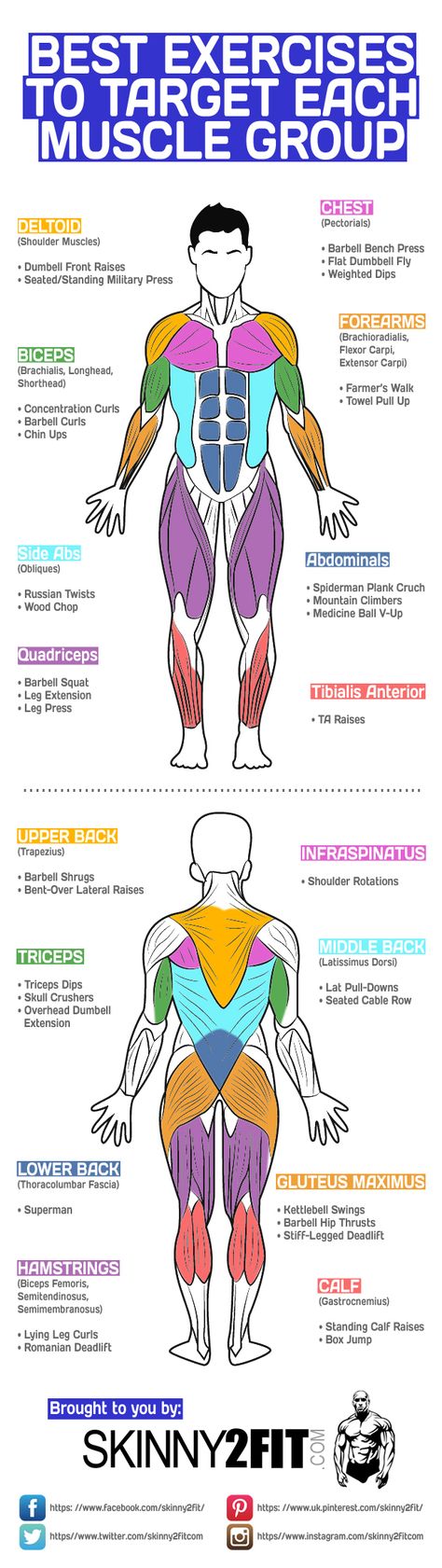 For bigger gains isolation exercises are recommended alongside compound exercises. Here are some of the best exercises to target each muscle group. Isolation Exercises, Muscle Abdominal, Compound Exercises, Best Exercises, Cardio Gym, Strong Motivation, Yoga Photography, Motivation Fitness, Morning Yoga