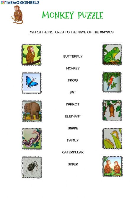 Monkey Puzzle Eyfs, Monkey Puzzle Activities, Monkey Puzzle Book, Sensory Stories, Julia Donaldson Books, Book Woman, Monkey Puzzle, Puzzle Worksheet, Grade 1 Reading