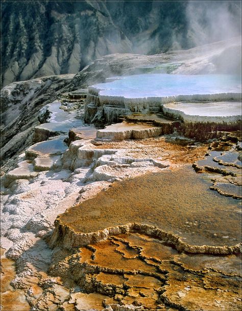 Mammoth Hot Springs, Yellowstone Trip, Western United States, Painted Hills, Valley Of Fire, California National Parks, Sequoia National Park, Utah National Parks, Natural Phenomena