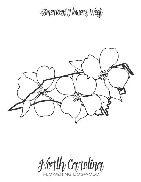 50 State Flowers — Free Coloring Pages | american flowers week Coloring Page Flowers, North Carolina Tattoo, Dogwood Tattoo, State Flowers, Bird Quilt, Flower Stencil, Cartoon Coloring Pages, Usa Map, Flower Coloring Pages