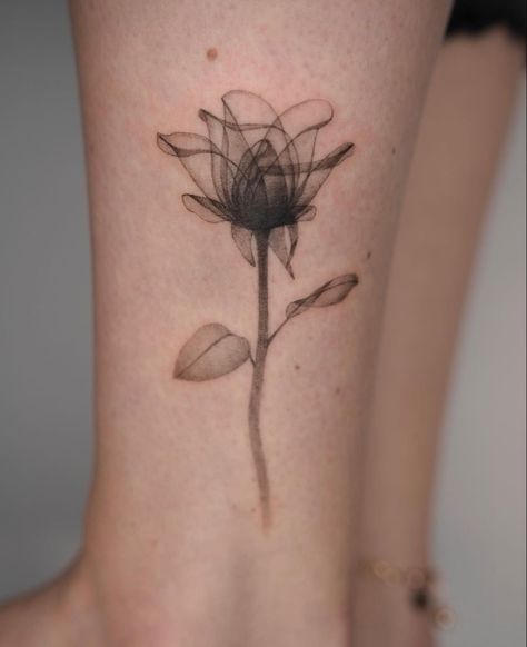 Translucent Flower Tattoo, Smoky Flower Tattoo, Rising Phoenix Tattoo, Realistic Flower Tattoo, Tattoo Flowers, Black Rose Tattoos, Daughter Tattoos, Phoenix Tattoo, Spine Tattoos