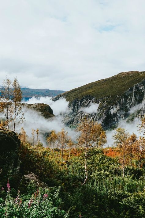 Odda Norway, Norway Forest, My Fantasy World, Inspiration Photo, Magical Forest, Mountain Landscape, Fantasy World, Scandinavia, Free Image