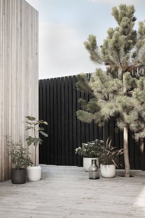 Black Fence, Minimalist Garden, Have Inspiration, Design Exterior, Interior Modern, Outdoor Inspirations, Backyard Fences, Terrace Garden, Garden Fence