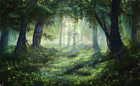 Magical Trees, Branches Of Trees, Summer Forest, Magical Tree, Leaves And Branches, Fairy Forest, Oak Forest, Tree Landscape, Forest Background