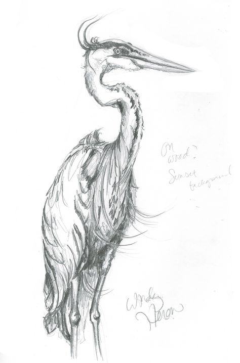 Heron Sketch, Heron Tattoo, Great Blue Heron, Human Anatomy Art, Vintage Sheet Music, Blue Heron, Anatomy Art, Pen Art, Sketchbook Art Inspiration