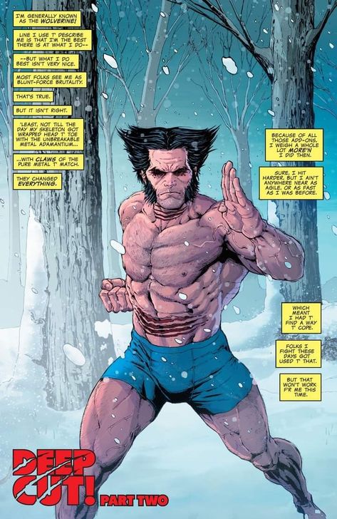 Wolverine (James "Logan" Howlett) - X MEN X-24 Logan, Wolverine Comic Icons, Logan Howlett Fanart, Logan Wolverine Art, Wolverine Son, How To Draw Wolverine, Wolverine Artwork, Marvel Nova, Logan Howlett