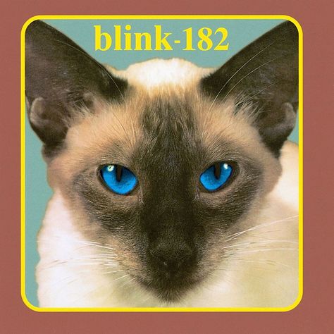 Blink 182 - Cheshire Cat Blink 182 Album, Vinyl Albums, Blink 182, Cheshire Cat, Hot Topic, Vinyl