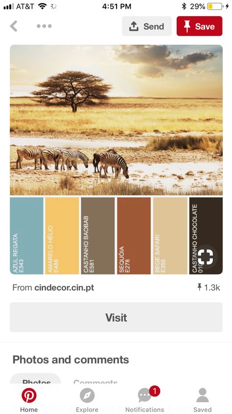 Safari Colors, African Room, Safari Room, African Interior Design, Safari Wedding, Wedding Color Pallet, African Colors, African Interior, Safari Decorations