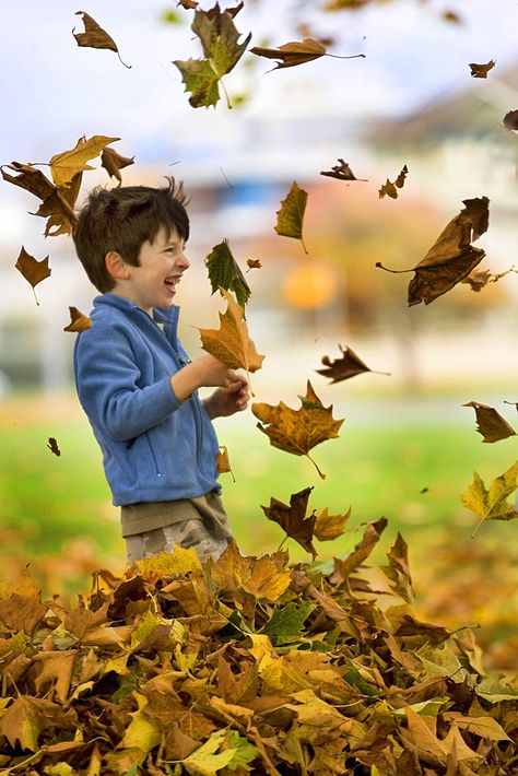 Finding joy in blowing Autumn leaves  -------     (Photo by Darren Stone) Hello Family, Prabhas Actor, Blowin' In The Wind, Shotting Photo, Falling Leaves, Windy Day, Autumn Beauty, Gone With The Wind, Wallpaper Pictures