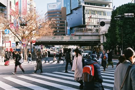 Football Training Program, Tokyo Pictures, Tokyo Picture, Japan Film, Work In Japan, Yoyogi Park, Shibuya Crossing, Torii Gate, Film Pictures