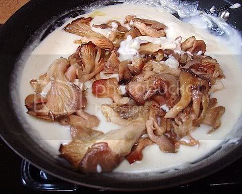 Pink Oyster Mushroom Recipe, Oyster Mushroom Pasta, Pink Oyster Mushroom, Mushroom Dishes, Pink Mushrooms, Oyster Mushroom Recipe, Wild Mushroom Recipes, Mushroom Recipes Pasta, Mushroom Recipe