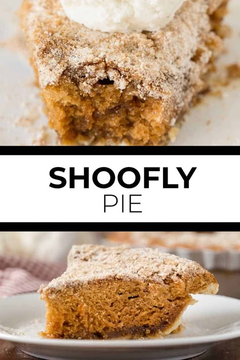 Shoofly Pie - A popular Pennsylvania Dutch pie recipe from the 1800s. Great with coffee or a scoop of ice cream! A vintage dessert perfect for parties. Recipes From The 1800’s, Shoofly Pie Recipe, Dutch Pie, Dutch Desserts, Appalachian Recipes, Cake Mix Cobbler, Shoofly Pie, Berry Cobbler Recipes, Popular Pies