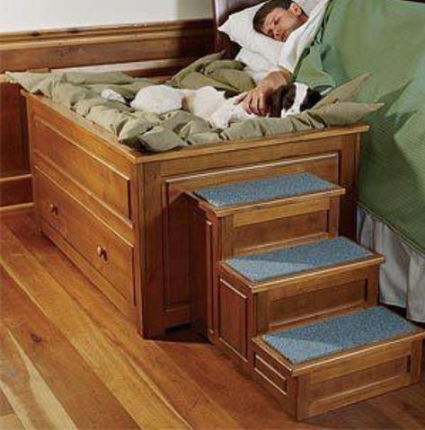 Diy Dog Beds, Bed Extension, Pet Bed Furniture, Diy Pet Bed, Indoor Dog House, Build A Dog House, Diy Dog Crate, High Bed, Dog Stairs