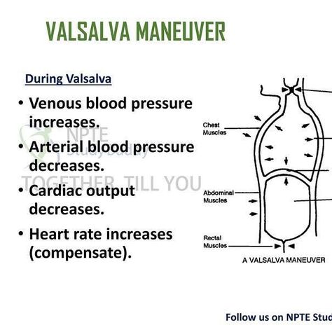 NPTE StudyBuddy on Instagram: "Change in Blood pressure and Heart rate is seen during and after valsalva maneuver. Happy studying!! Follow us on Education page and group :NPTE StudyBuddy. StudyBuddy. #nptestudybuddy #pcestudybuddy #npte #npteprep #pce #physicaltherapy #physicaltherapystudent #physicaltherapist #physicaltherapistassistant #physiotherapy #physiotherapist #physiotherapiststudent #dpt #dptschool #physiotherapystudents #physiotherapydubai #dptstudent #ptstudent #valsalva #valsalvam Valsalva Maneuver, Happy Studying, Physical Therapist Assistant, Massage Benefits, Human Anatomy And Physiology, Board Exam, My Notes, Abdominal Muscles, Physical Therapist