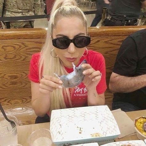 Lady Gaga Photos, Lady Gaga Pictures, Women Humor, Lady Gaga, Reaction Pictures, Blonde, Celebrities, Cake, Memes