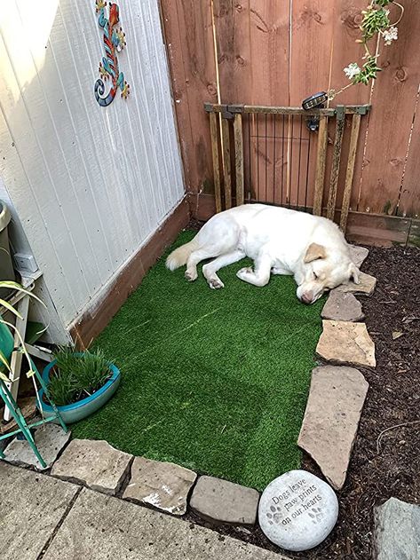 Dog Friendly Patio Ideas, No Grass Backyard Ideas For Dogs, Fake Grass Garden Ideas, Grass Carpet Outdoor, Fake Grass For Dogs, Dog Turf, Outdoor Dog Area, Fake Grass Rug, Dog Play Area