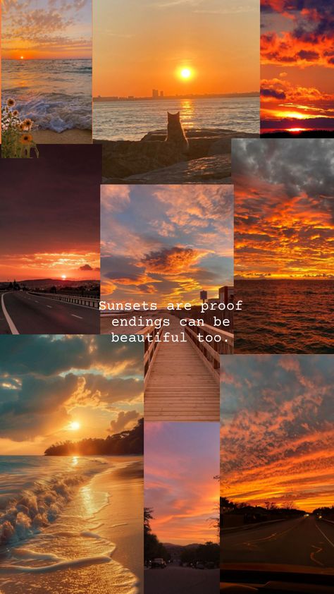 something in the orange tells me we’re not done. #collage #sunset #beach #orange Collage Sunset, Something In The Orange, Orange Wallpaper, Aesthetic Pics, Sunset Beach, Aesthetic Pictures, Collage, Orange, Canning