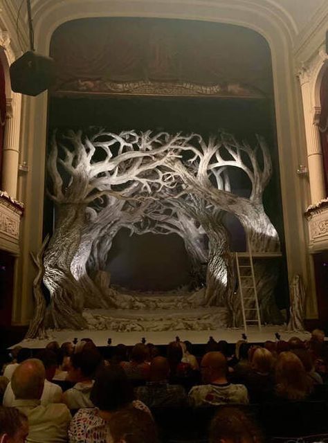 Forest Stage Design Theatre, Simple Set Design Theatre, Model Box Set Design, Shoebox Theatre, Into The Woods Wolf, Forest Set Design, Theatre Background, Theater Set Design, Set Theatre