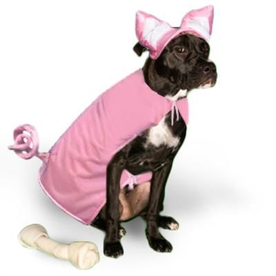 Hunter's halloween costume next year! Pig Costume, Dressed Up Dogs, Pig Costumes, Pig Dress, Teacup Pigs, Pig Dog, Pet Halloween Costumes, Lion Mane, Dog Costume