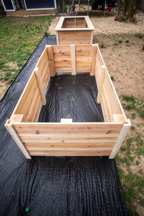 Tall Raised Garden Beds Plans + DIY - Live Free Creative Co Tall Raised Garden Beds, Beautiful Raised Garden Beds, Raised Garden Beds Diy Vegetables, Wood Raised Garden Bed, Wooden Raised Garden Bed, Garden Bed Layout, Raised Garden Bed Plans, Building Raised Garden Beds, Building A Raised Garden