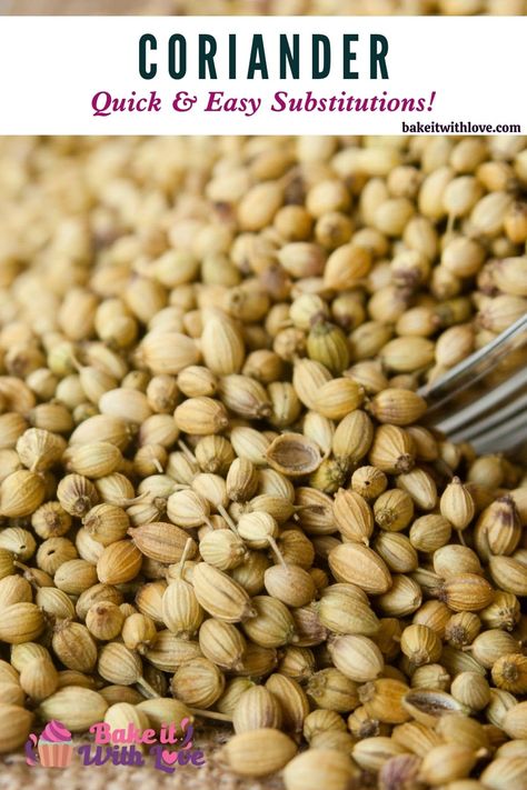 Dried coriander in bulk on burlap surface with coriander substitute header. Cilantro Substitute, Cooking Substitutions, Cold Dishes, Food Substitutions, Caraway Seeds, Clam Recipes, Fennel Seeds, Fresh Cilantro, Garam Masala