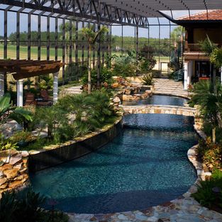 Pool Design Ideas, Inspiration, Pictures and Remodels Tropical Swimming Pool, Cavendish Banana, Pool Screen Enclosure, Mediterranean Pool, Screened Pool, Indoor Swimming Pool Design, Trellis Indoor, Indoor Pool Design, Dream Backyard Pool