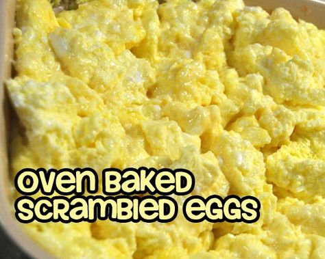 Oven-Baked Scrambled Eggs... The fluffiest scrambled eggs you will ever make and easy enough to feed a crowd. Baked Scrambled Eggs, Oven Scrambled Eggs, Fluffy Scrambled Eggs, Breakfast For A Crowd, Camping Breakfast, Healthy Brunch, Easter Morning, Cooking For A Crowd, Breakfast Items