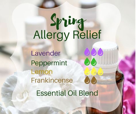 Spring Allergy Relief, Allergy Relief Essential Oils, Seasonal Allergy Relief, Essential Oils Allergies, Essential Oil Diffuser Blends Recipes, Young Living Essential Oils Recipes, Essential Oil Diffuser Recipes, Oil Diffuser Recipes, Yl Essential Oils