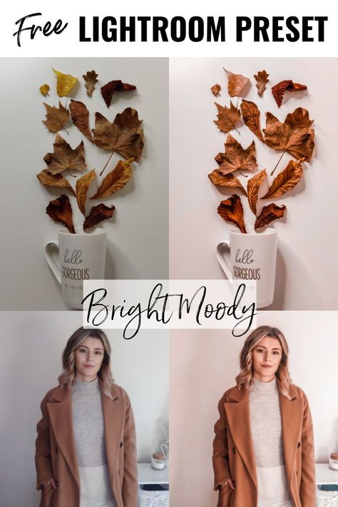 Cozy Instagram Feed, Free Lightroom Preset, Cozy Academia, Insta Aesthetics, Instagram Presets, Lightroom Filters, Adobe Lightroom Presets, Free Presets, Blogging 101