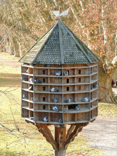 Pigeon Nesting Boxes Diy, Nesting Boxes Diy, Pigeon Loft Design, Love Birds Pet, Purple Martin House, Pigeon House, Bird House Feeder, Butterfly Houses, Coop Design