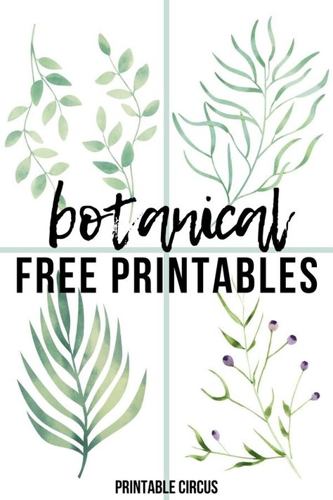 summer botanical free printables - download and print these FREE botanical prints for summer. Great for updating gallery walls and to add to summer home decor. Summer greenery and leaf prints. Free Botanical Prints, Botanical Printables, Flamingo Wall Art, Wall Art Printables, Free Wall Art, Summer Wall Art, Fruit Wall Art, Free Printable Wall Art, Free Printable Art