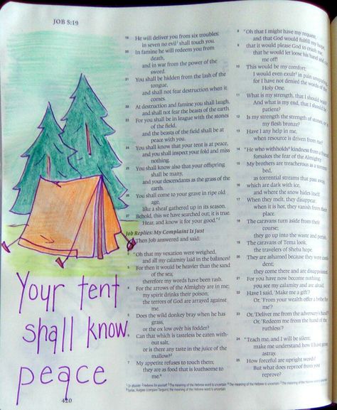 Job 5:24 Job Bible Journaling, Job Bible Study, Job 5 Bible Journaling, Job Bible, Bible Journal Notebooks, Book Of Job, New Bible, Jesus Wallpaper, Bible Study Plans