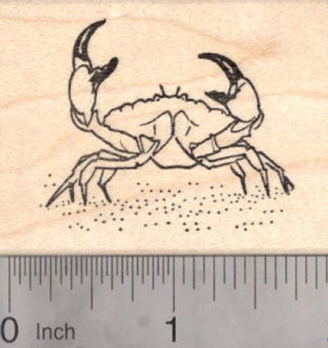 Crab Rubber Stamp, Stone Crab, Fish Crab Tattoo, Stone Crab, Ocean Tattoos, Black Ink Tattoos, Mini Drawings, Tattoo Design Drawings, Art Drawings Sketches Simple, Cool Stuff, Art Journal Inspiration