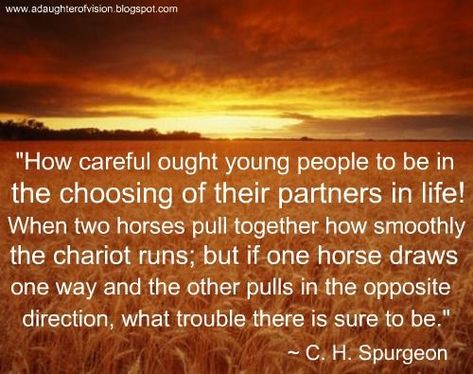 Purity Quotes, Unequally Yoked, God Centered Marriage, God Centered Relationship, Charles Spurgeon Quotes, Spurgeon Quotes, Christian Relationships, Charles Spurgeon, Words Worth