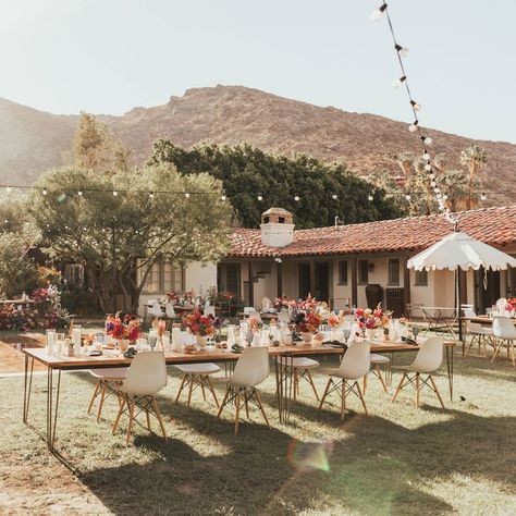 Palm Springs Backyard Wedding, Palm Springs Wedding Aesthetic, Palm Desert Wedding, Ace Hotel Palm Springs Wedding, Palm Springs Wedding Dress, Palm Springs Wedding Venues, Sandy Desert, Wedding Palm Springs, Ace Hotel Palm Springs