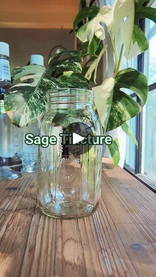 7.8K reactions · 2.1K shares | Let's make a sage tincture! 🌿 

Not only is sage one of my favorite herbs it has has so many beneficial properties.

#sage #gardening #tinctures #herbs #herbalism #growingherbs #lowtoxliving #herbaltinctures #diy #urbanhomesteading | Ellie Bagwell | Ellie Bagwell · Original audio Sage Tincture, Medicinal Recipes, Medical Tips, Homemade Essential Oils, Health Medicine, Herbal Tinctures, Urban Homesteading, Growing Herbs, I Need To Know