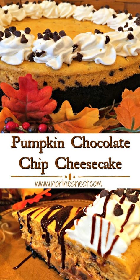 Chocolate Chip Pumpkin Cheesecake, Pumpkin Cheesecake Chocolate Crust, Pumpkin Chocolate Chip Cheesecake, Pumpkin Cheesecake With Oreo Crust, Pumpkin Chocolate Pie, Pumpkin Chocolate Cheesecake, Spiced Cheesecake, Pumpkins Spice, Baking Necessities