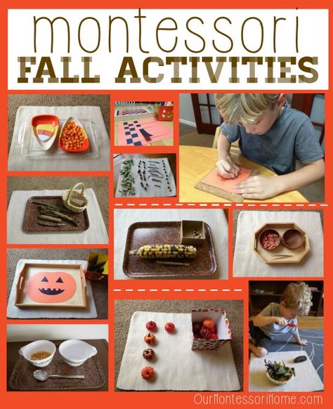 Montessori Fall Activities, Fall Activities For Kids, Activities For Kids At Home, Montessori Home, Montessori Trays, Montessori Activities Preschool, Montessori Bedroom, Montessori Lessons, Montessori Room