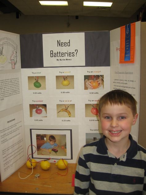 Lemon Battery Science Fair | The DEB Log: Science, Football, Showers, and Garage Doors Potato Battery Science Project, Science Project Board, Science Fair Board, Science Fair Experiments, Science Fair Projects Boards, Science Electricity, Stem School, School Science Projects, 4th Grade Science