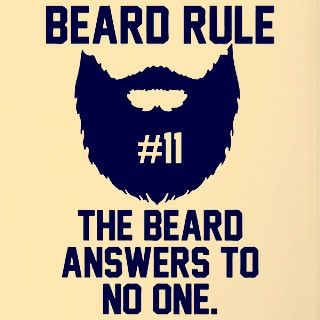 Other then you special girl.                                                                                                                                                                                 More Beard Jokes, Beard Ideas, Men Beards, Beard Quotes, Beard Tips, Beard Rules, Cricut Help, Beard Haircut, Beard Game