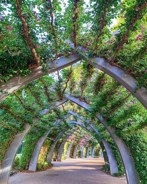 Vegetal Canopy, Gate Garden Ideas, Garden Arch Ideas, Flower Gate, Ladder Ideas, Arch Designs, Gate Garden, Orchard Garden, Gardening Quotes