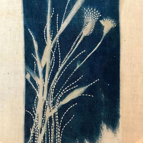 Coaxing a little more definition out of this yard weed cyanotype. . . . . . . . #cyanotype #embroidery #slowstitch #slowstitching… Cyanotype With Embroidery, Embroidery On Cyanotype, Cyanotype Negative, Embroidered Cyanotype, Cyanotype On Fabric, Cyanotype Embroidery, Grass Embroidery, Sun Prints, Natural Dye Fabric