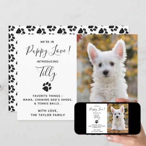 Puppy Announcement Ideas, Puppy Shower Party, Dog Announcement, Pet Announcement, Puppy Announcement, Dog Baby Shower, Rescue Puppies, Toy Fox Terriers, Announcement Ideas